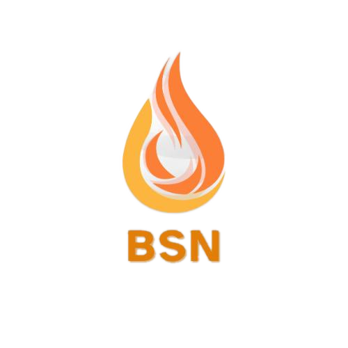 PT. Berkah Sawit Nusantara logo